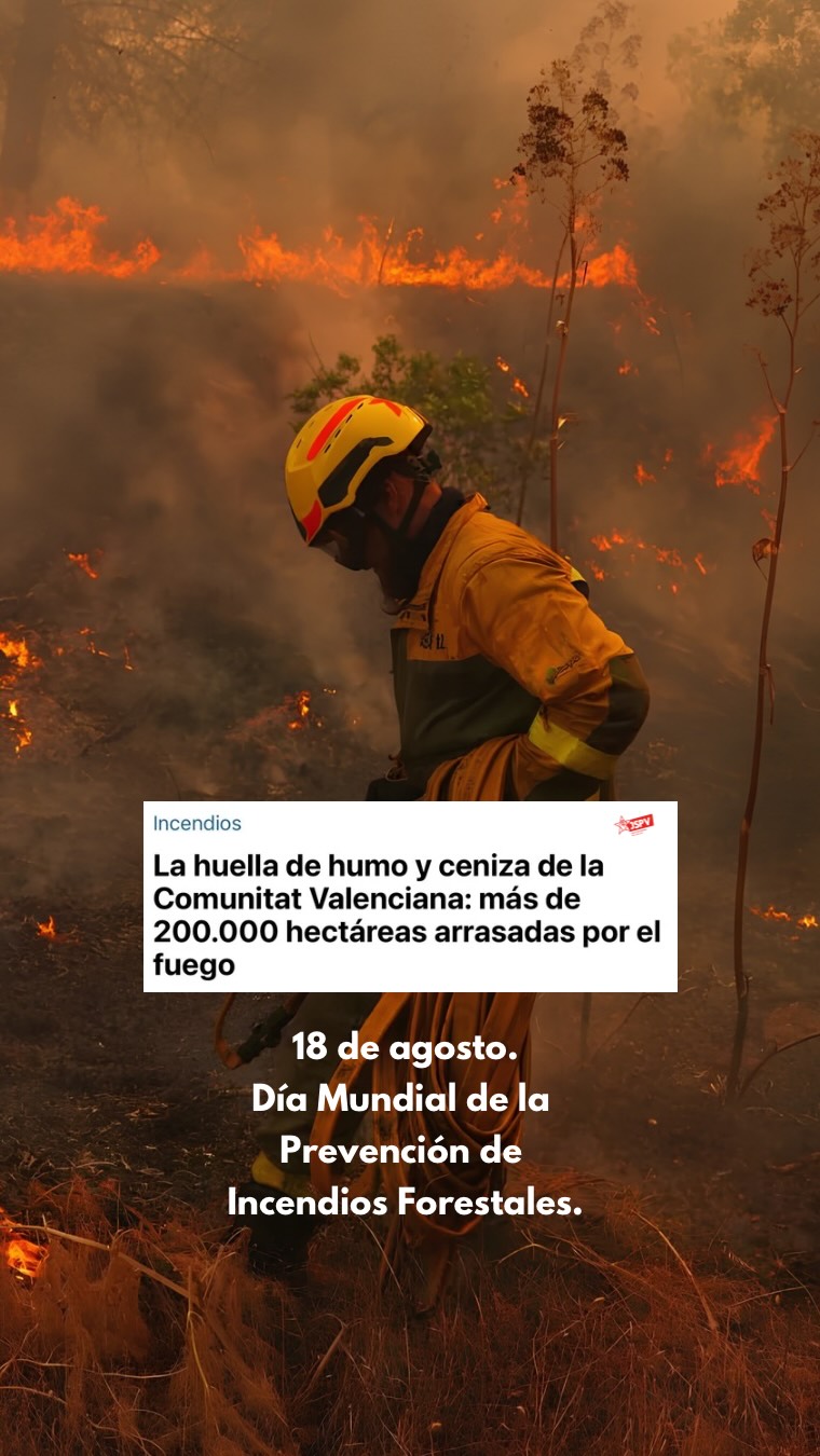 Hui, 18 d’agost, commemorem el Dia Mundial de la Prevenció d’Incendis Forestals,